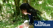 Magic mushrooms: how scientists discovered fungi are the secret ingredient for restoring the world’s forests