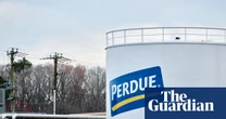 Waste from agricultural plant poisoned US town’s water with Pfas, lawsuits allege