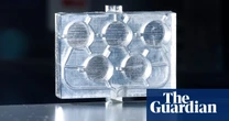 3D-printed chip showing body’s reaction to drugs could end need for animal tests