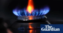 MasterChef Australia fans being deceived by ‘renewable gas’ campaign, climate advocates tell watchdog