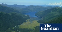 BP-owned company is selling carbon credits on trees that aren’t in danger, analysis finds