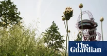 Half of UK councils still use pesticides in public places, research finds