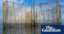 ‘I’m sure this fisher had success the next day’: Philip Am Guay’s best phone picture