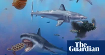 ‘An enigma’: scientists finally learn what giant prehistoric shark looked like