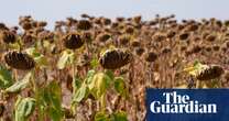 World endures 'decade of deadly heat' as 2024 caps hottest years on record