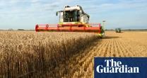 More than a third of UK agricultural soil degraded by intensive farming – report