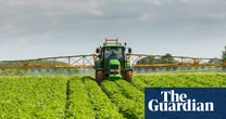 Sticky trick: new glue spray kills plant pests without chemicals