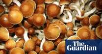 Experts warn of mental health risks after rise in magic mushroom use