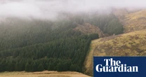 New Zealand government sued over ‘dangerously inadequate’ emissions reduction plan