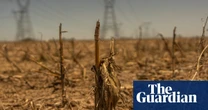 Weatherwatch: Flash droughts come on quickly but effects can wreak havoc