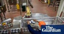 US workers say Trump’s immigration crackdown is causing labor shortages: ‘A strain on everybody’