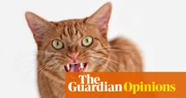 Australia has a love-hate relationship with cats – but under all the emotion is a fascinating history | Jodie Stewart