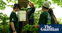 ‘It’s the future of sugar’: new technology feeds a Vermont maple syrup boom amid the climate crisis