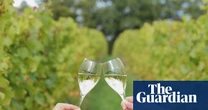 ‘A world-class producer’: English wines toast record gold medal haul