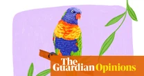 Rainbow lorikeets can be such bruisers, but this pair turn me into a cartoon princess | Johanna Roberts as told to Alyx Gorman
