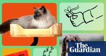 The best UK Christmas gifts for pets: 17 pawfect presents for cats, dogs and furry friends