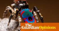 Enough with unicorns and dinosaurs – show children the magic of real, living animals instead | Isabel Losada