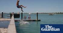 Popping a manu: New Zealand searches for dive-bombing champion - video