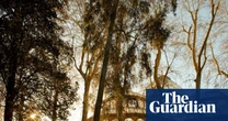Fall for Madrid: why Spain’s capital is city-break gold