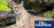 Native American tribe steps up to protect Florida lands for wildlife