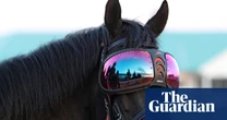 Klammer to see Gold Cup hope Trawlerman after revelation he wears ski goggles