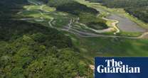 Protection deal for Amazon rainforest in peril as big business turns up heat