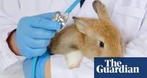 EPA to launch program that lets people adopt its lab animals amid Trump cuts