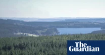 How England’s largest forest went from commodity to conservation haven