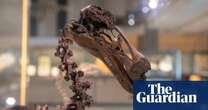 AI gives voice to dead animals in Cambridge exhibition