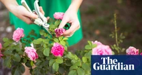 From the perfect gardening tools to £8 mascara, what you loved most this month