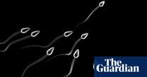 Stable sperm counts in Denmark cast doubt on ‘spermageddon’ fears