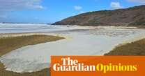 Mysterious foam on South Australian beaches caused by bloom of tiny but toxic algae