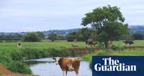 England’s farmers to get new payments for cleaning up waterways on their land