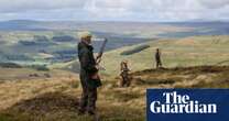 Promise to phase out lead from UK game shooting has failed, study finds