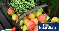 Harvest festival is an ideal time to reflect before preparing the garden for winter