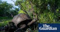 Giant tortoises in Seychelles face threat from luxury hotel development