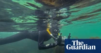 I’m obsessed with snorkelling in Scotland: starfish below, sea eagles overhead – and it really isn’t that cold