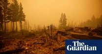 Red Pockets by Alice Mah review – finding hope amid the climate crisis