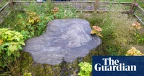 Artists given chance to use wood from felled Sycamore Gap tree