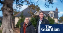 Insurers calling for trees to be felled as cheap fix for subsidence, say critics