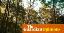 As the Coalition shows its colours on nature, Labor faces a question: will it really protect Australia’s wildlife? | Clear Air