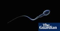 ‘Spermageddon’: is male fertility really in crisis? – podcast