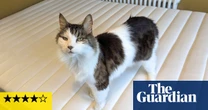 Ikea Valevåg mattress review: a brilliant budget buy or too cheap for comfort?