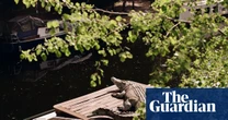 ‘Witty, engaging and absurd’: LensCulture critics’ choice award winners – in pictures
