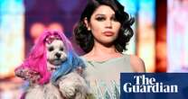 Rainbow fur, £10,000 ballgowns and hounds in hats: inside LA’s canine couture show