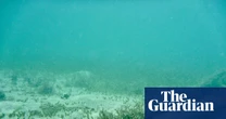 Risk of undersea cable attacks backed by Russia and China likely to rise, report warns