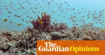 Pretty bloomin’ what? The Great Barrier Reef is a picture of health, The Australian assures us | Weekly Beast