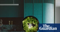 Zero gravity herb gardens and micro honey harvesters: Australia’s Good Design awards 2025 – in pictures