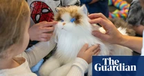 These robot cats have glowing eyes and artificial heartbeats – and could help reduce stress in children