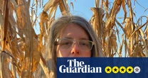 Marisa Anderson: The Anthology of UnAmerican Folk Music review – Harry Smith’s archives light up again